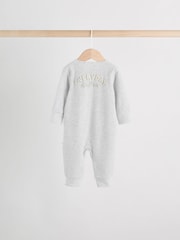 Grün/Grau - Baby Fußlose Schlafanzüge mit Zwei-Wege-Reißverschluss im 4er Pack (0 Monate bis 3 Jahre) - Bild 7 von 17
