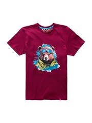 Joe Browns Red Winter Bear Short Sleeve Crew Neck Graphic 100% Cotton T-Shirt - Image 5 of 5