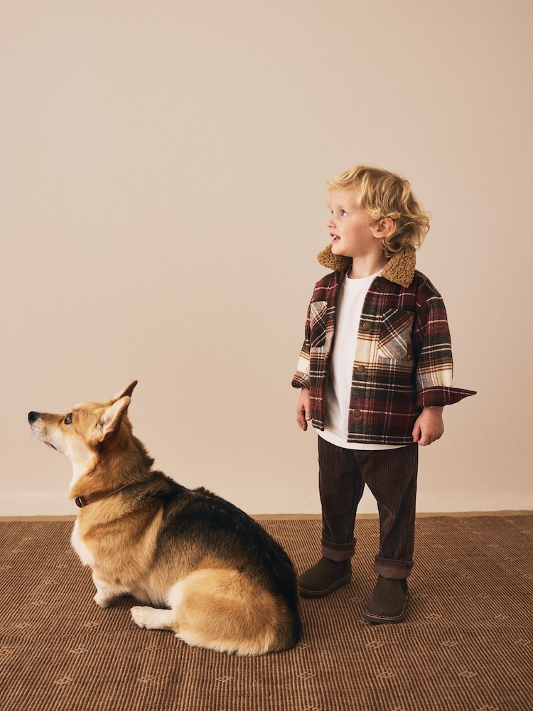 Brown Corduroy Pull On Trousers (3mths-7yrs) - Image 2 of 8