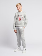 U.S. Polo Assn Grey U.S. Polo Assn. Boys Arch Sweatshirt and Joggers Set - Image 1 of 12