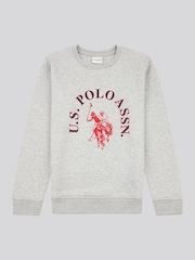 U.S. Polo Assn Grey U.S. Polo Assn. Boys Arch Sweatshirt and Joggers Set - Image 9 of 12