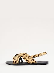 Love & Roses Tan Leather Leopard Print Toe Loop Buckle Flat Sandals - Image 5 of 5