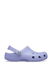 Morado ciruela - Zuecos clásicos de Crocs - Imagen 1 de 5