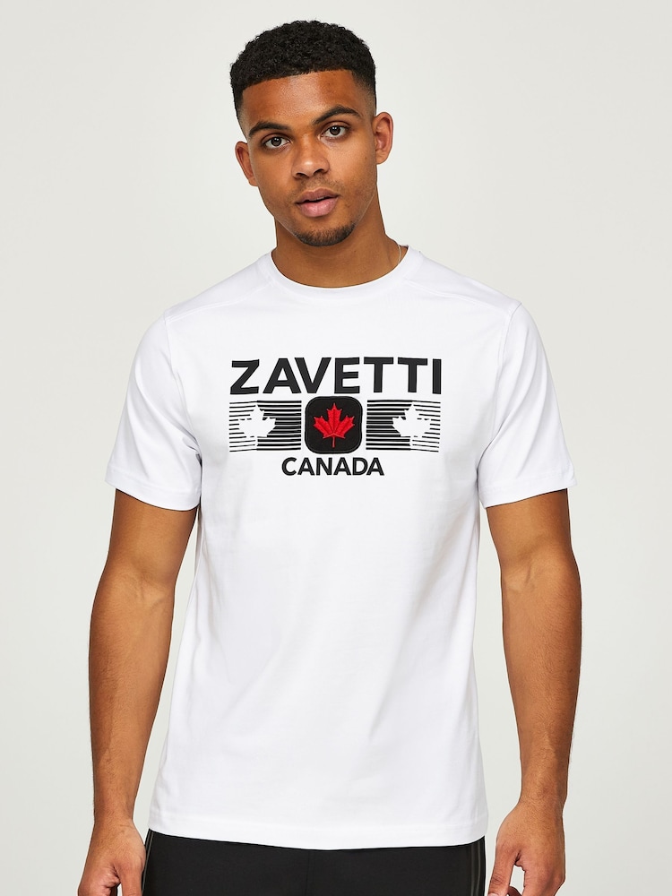 Zavetti Canada Grey Irrosso Tech T-Shirt - Image 1 of 5