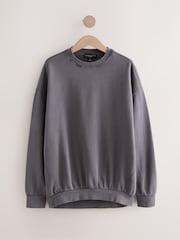 Charcoal Grey Kew Gardens X Next Vitamin Fruit Summer Graphic Relaxed Fit Crew-Neck Sweatshirt - Image 5 of 8