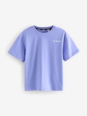 smALLSAINTS Grey/Purple Boys Logo Crew Relaxed T-Shirts 3 Pack - Image 2 of 7
