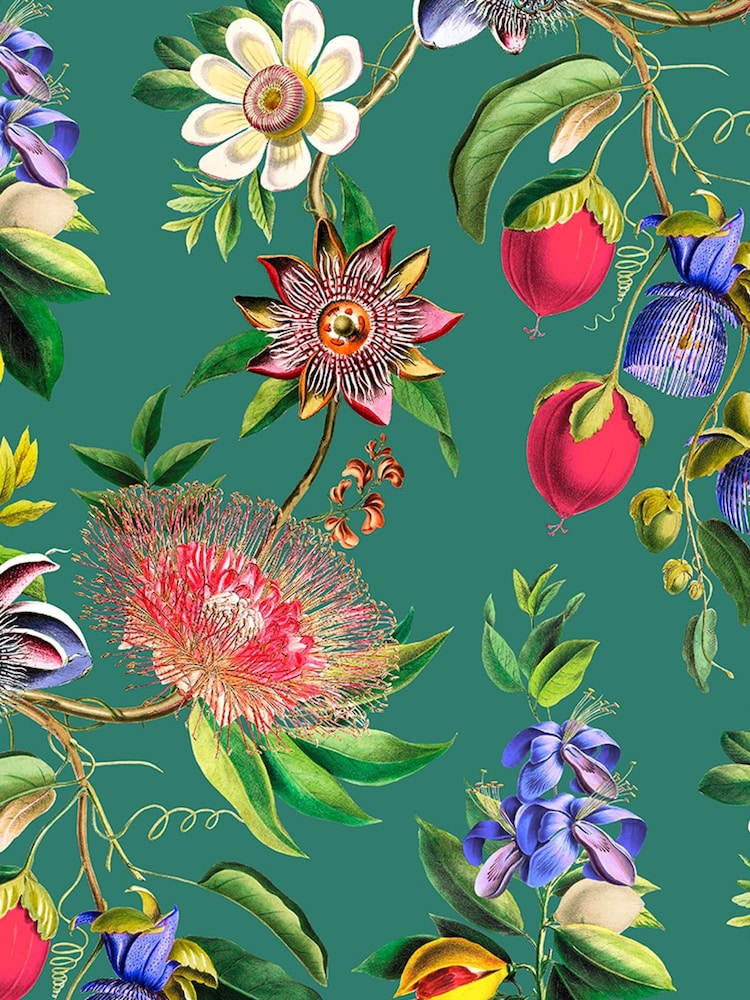 Graham & Brown Teal Physic Garden A4 Wallpaper Sample - Image 2 of 4