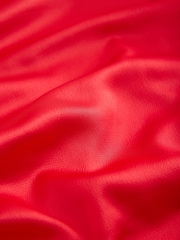 Red Satin Ruched Short Sleeve Top - Image 6 of 8
