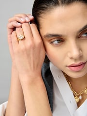 Aela 18k Gold Plated Stone Ring - Image 1 of 2