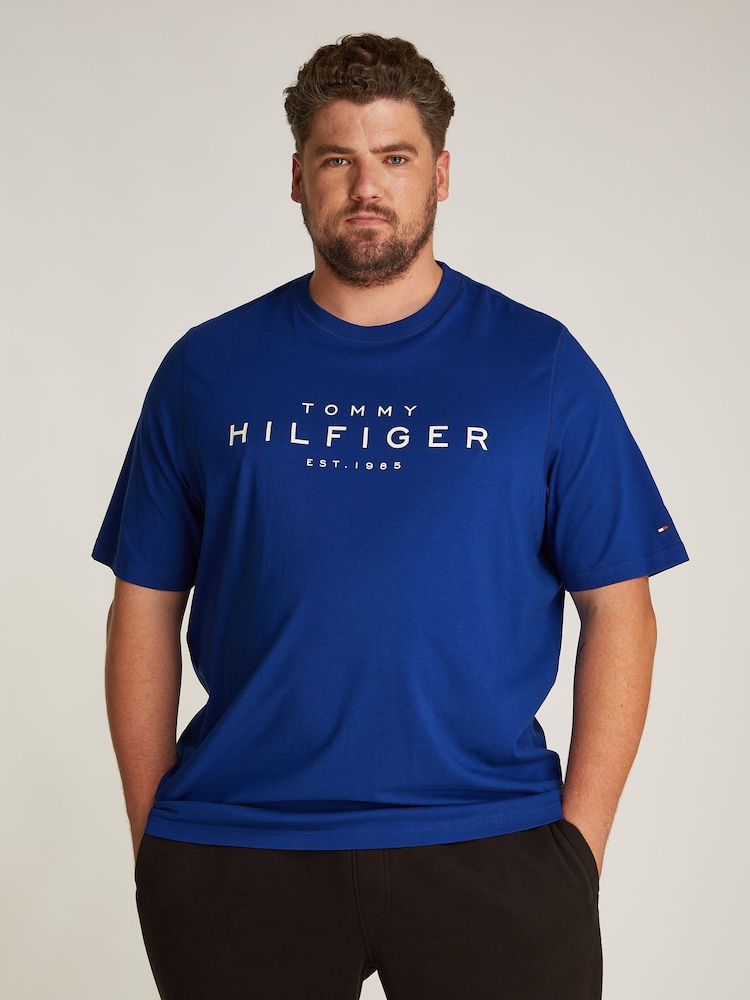 Tommy Hilfiger Blue Plus Regular Fit 100% Cotton T-Shirt - Image 1 of 6
