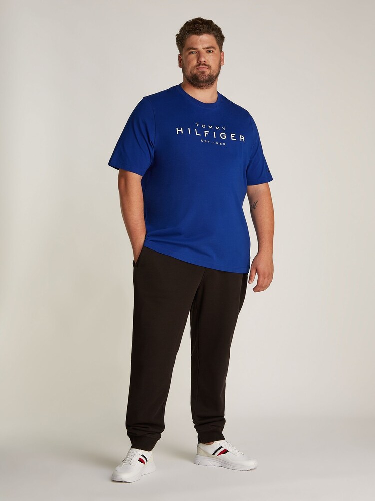 Tommy Hilfiger Blue Plus Regular Fit 100% Cotton T-Shirt - Image 2 of 6