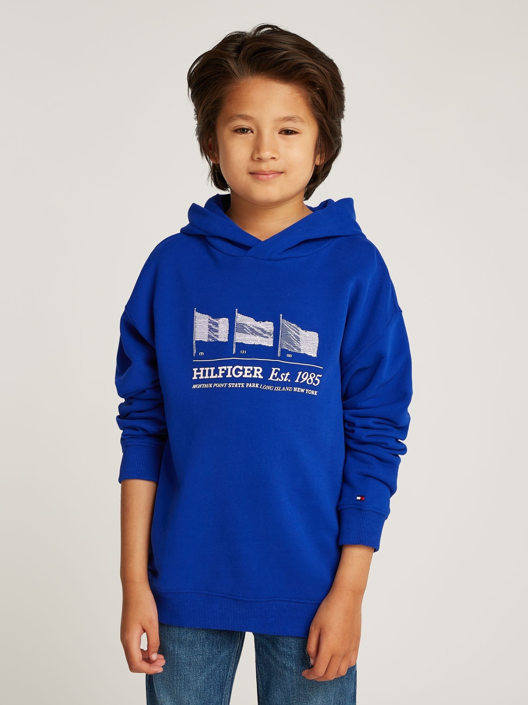 Tommy hilfiger pullover hoodie sale