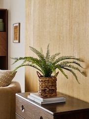 Green Artificial Boston Fern In Natural Woven Plant Pot - Image 1 of 4