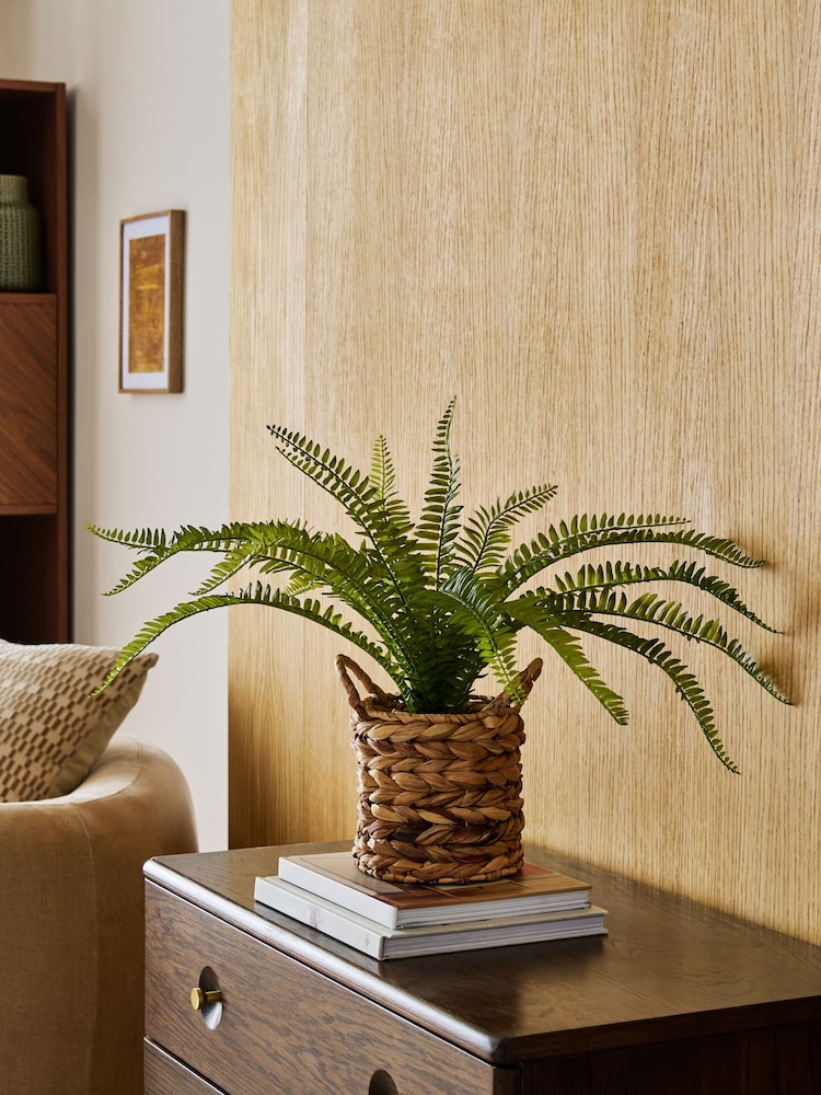 Green Artificial Boston Fern In Natural Woven Plant Pot - Image 1 of 4