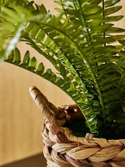 Green Artificial Boston Fern In Natural Woven Plant Pot - Image 2 of 4
