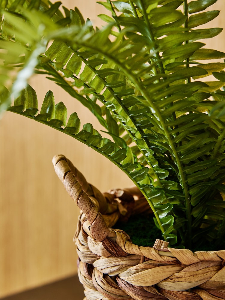 Green Artificial Boston Fern In Natural Woven Plant Pot - Image 2 of 4