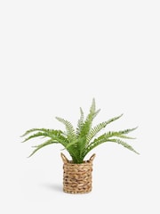 Green Artificial Boston Fern In Natural Woven Plant Pot - Image 3 of 4