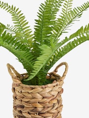 Green Artificial Boston Fern In Natural Woven Plant Pot - Image 4 of 4