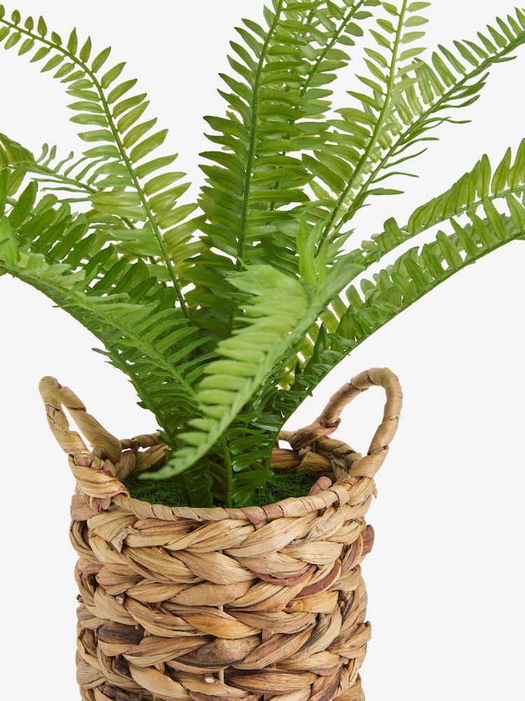 Green Artificial Boston Fern In Natural Woven Plant Pot - Image 4 of 4