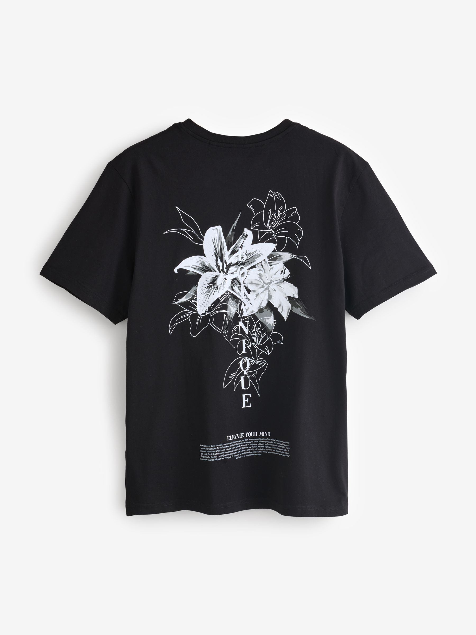 Buy Black Flower Regular Fit Graphic Print T-Shirt from Next Canada