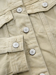 Sage Green Fitted Denim Trucker 100% Cotton Jacket - Image 7 of 8