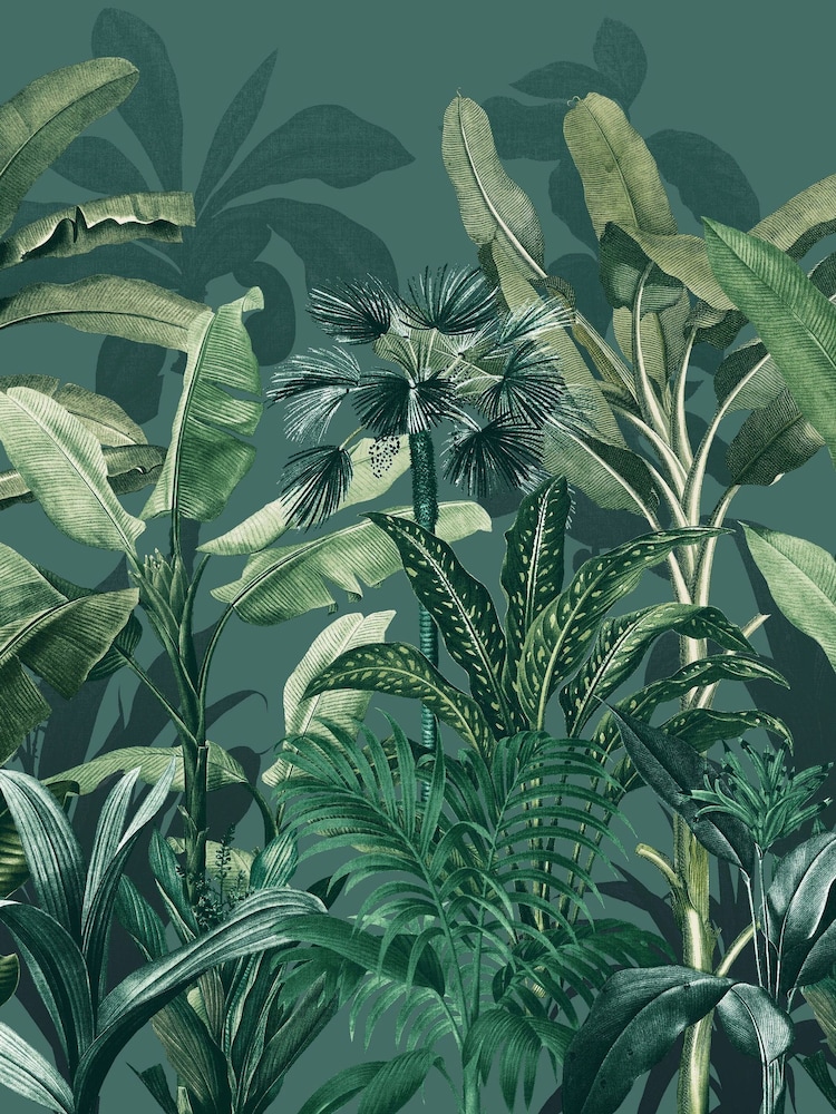 Graham & Brown Teal Congo Fixed 4M Mural - Image 2 of 4