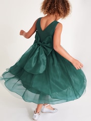 Monsoon Green Olivia Organza Bridesmaid Dress - Image 3 of 3