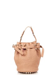 Alexander Wang Natural Diego Bucket Bag - Image 1 of 6