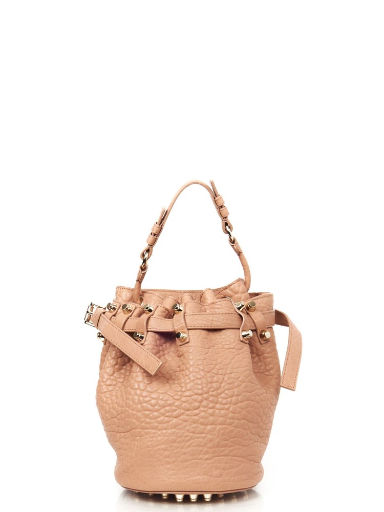 Alexander Wang Natural Diego Bucket Bag - Image 1 of 6 Alexander Wang Natural Diego Bucket Bag - Image 1 of 6