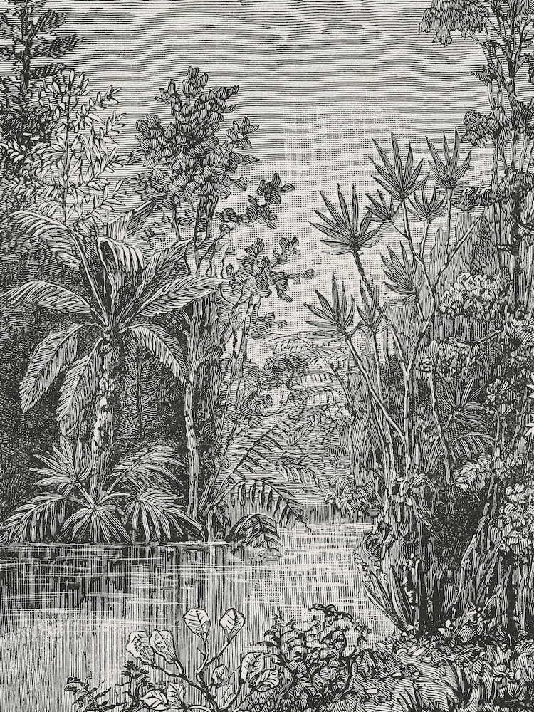 Art For The Home Black and White Archive Jungle Fixed Size 2M Mural - Image 2 of 4