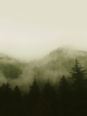 Art For The Home Green Misty Landscape Fixed Size 3M Mural - Image 2 of 5