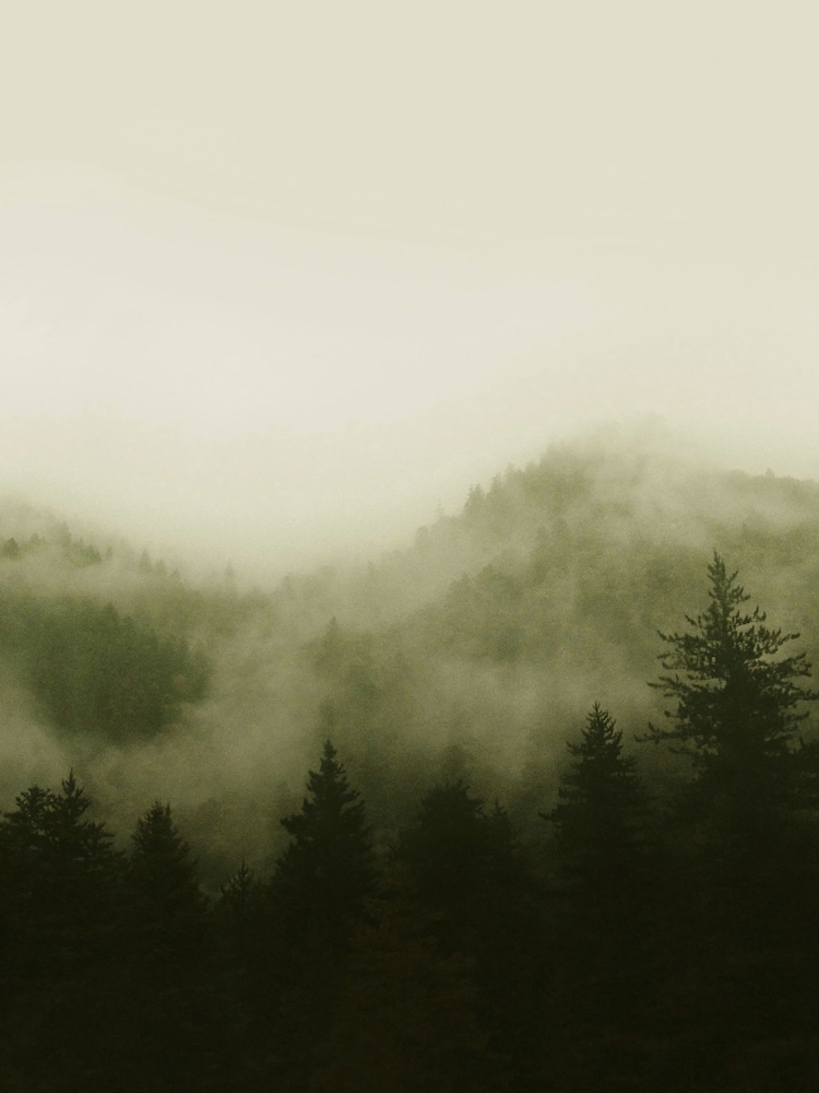 Art For The Home Green Misty Landscape Fixed Size 3M Mural - Image 2 of 5