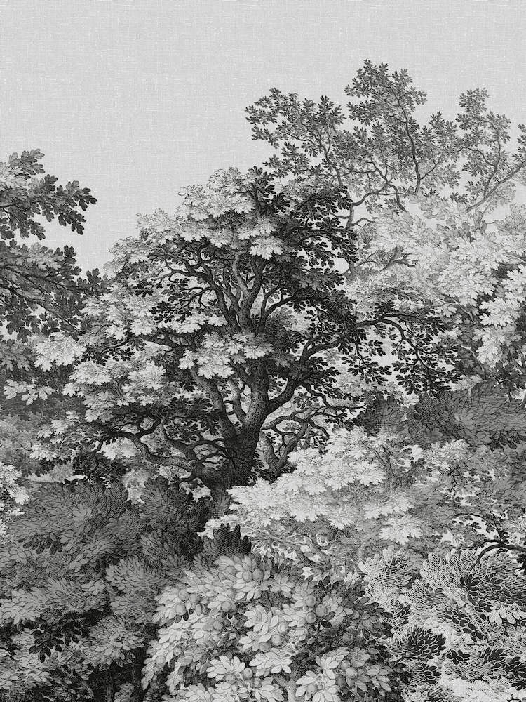 Art For The Home Mono Forest Canopy Fixed Size 3M Mural - Image 2 of 5