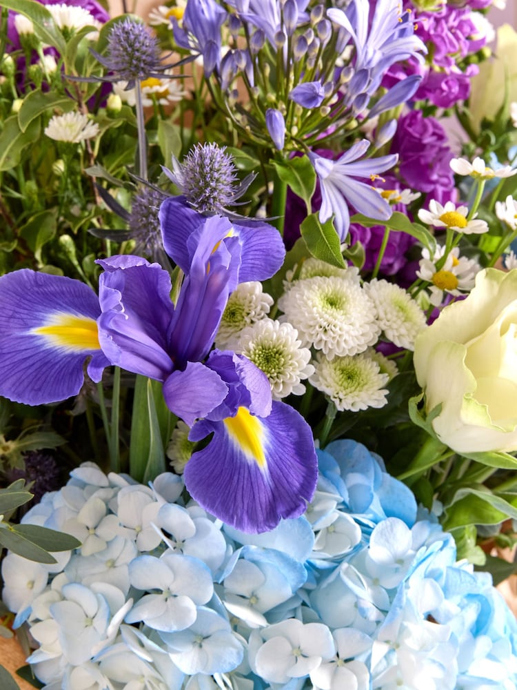 White XL Mathiola and Chrysanthemum Fresh Flower Bouquet - Image 2 of 3