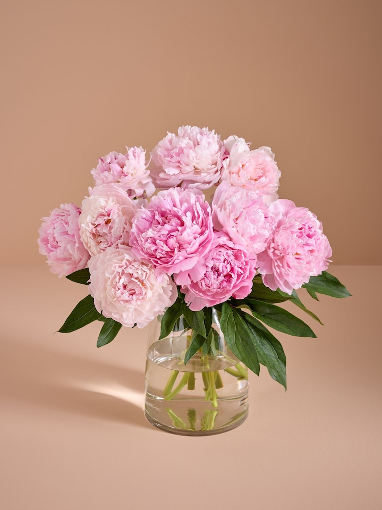 Pink Peony Fresh Flower Letterbox Bouquet - Image 1 of 4