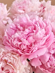 Pink Peony Fresh Flower Letterbox Bouquet - Image 2 of 4