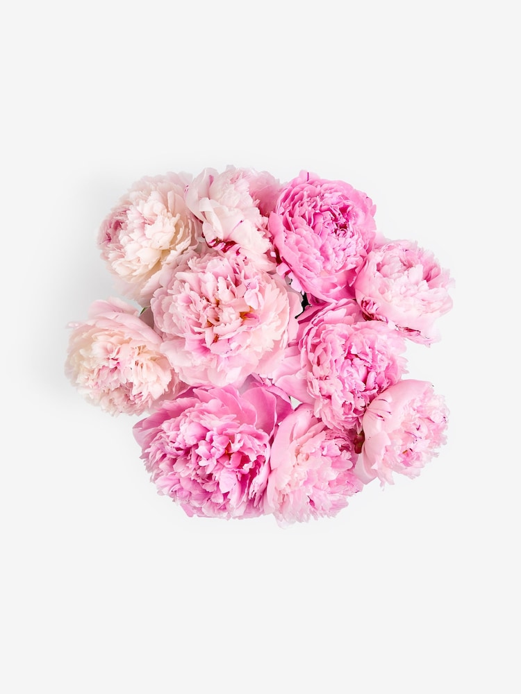 Pink Peony Fresh Flower Letterbox Bouquet - Image 4 of 4