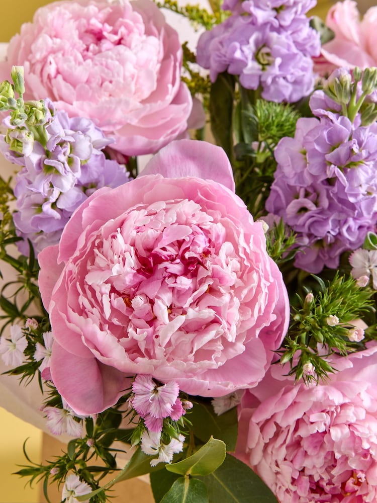 Pink Peony and Mathiola Fresh Flower Bouquet in Gift Bag - Image 2 of 4