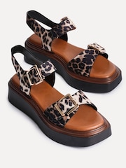 Linzi Leopard Archive Flatform Sandals With Buckle Straps - Image 4 of 5