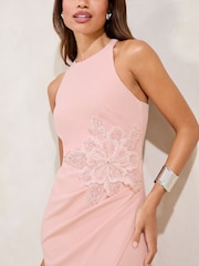 Lipsy Nude Embellished Floral Trim Sleeveless Bodycon Midi Dress - Image 3 of 4
