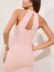 Lipsy Nude Embellished Floral Trim Sleeveless Bodycon Midi Dress - Image 4 of 4