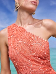 Lipsy Premium Embellished Textured One Shoulder Chiffon Maxi Dress - Imagen 2 de 4