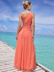 Lipsy Premium Embellished Textured One Shoulder Chiffon Maxi Dress - Imagen 4 de 4