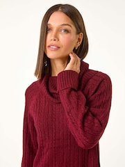 Roman Red Roll Neck Knitted Jumper Dress - Image 4 of 5