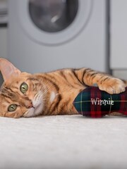Personalised Christmas Tartan Cat Fish Toy by Jonnys Sister - Image 2 of 3
