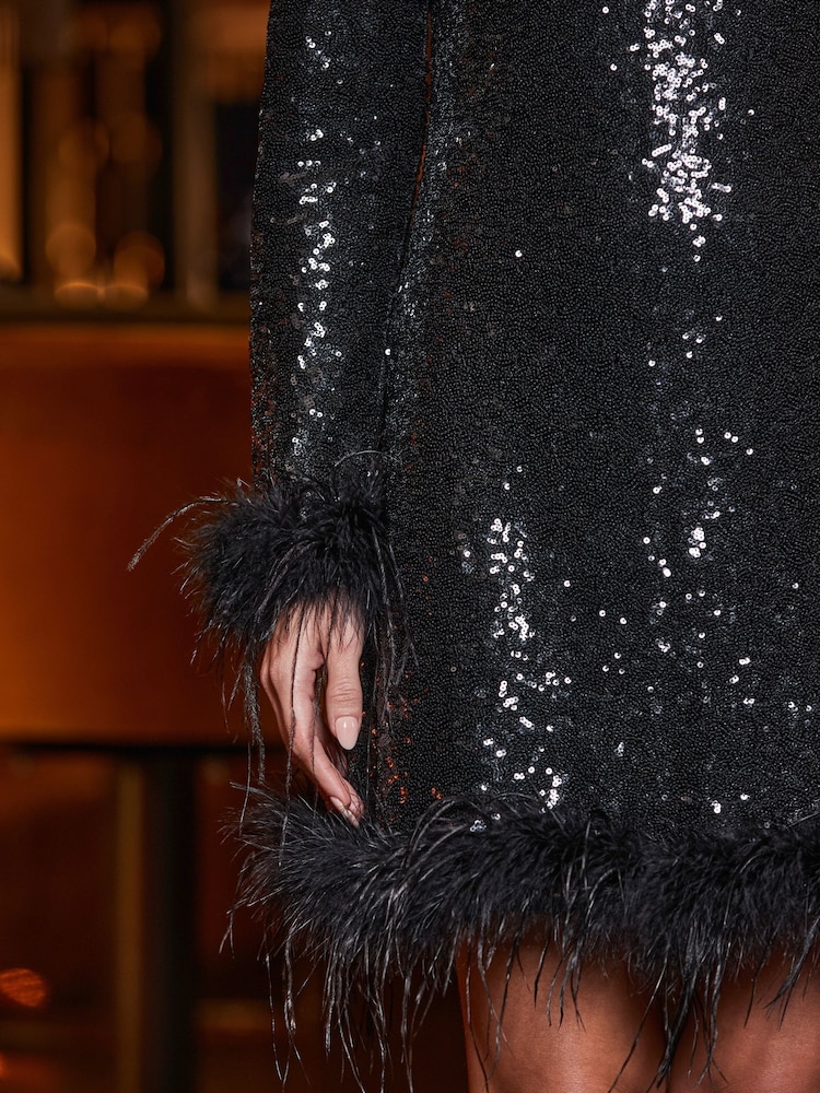 Sosandar Feather Trim Sequin Shift Dress - Imagen 5 de 5 Sosandar Feather Trim Sequin Shift Dress - Imagen 5 de 5