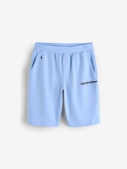 Голубой - Трикотажные шорты в полоску с логотипом Polo Ralph Lauren - Image 4 of 4