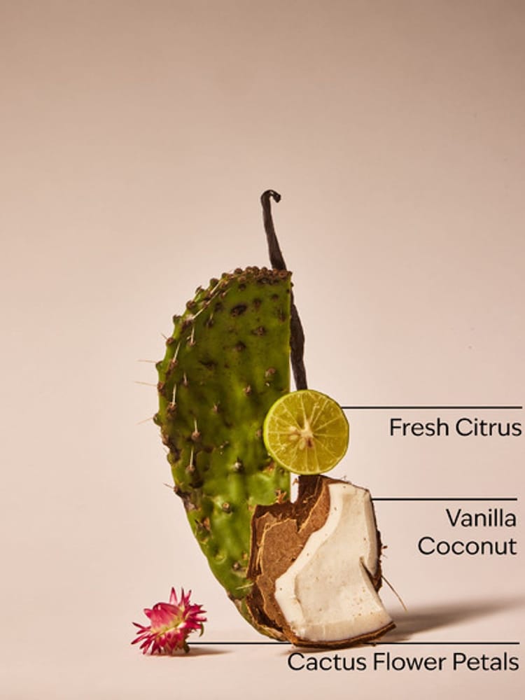 Bath & Body Works Cactus Blossom Single Wick Candle 227g - Image 2 of 2