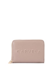 Carvela Frame Mini Black Purse - Image 1 of 4