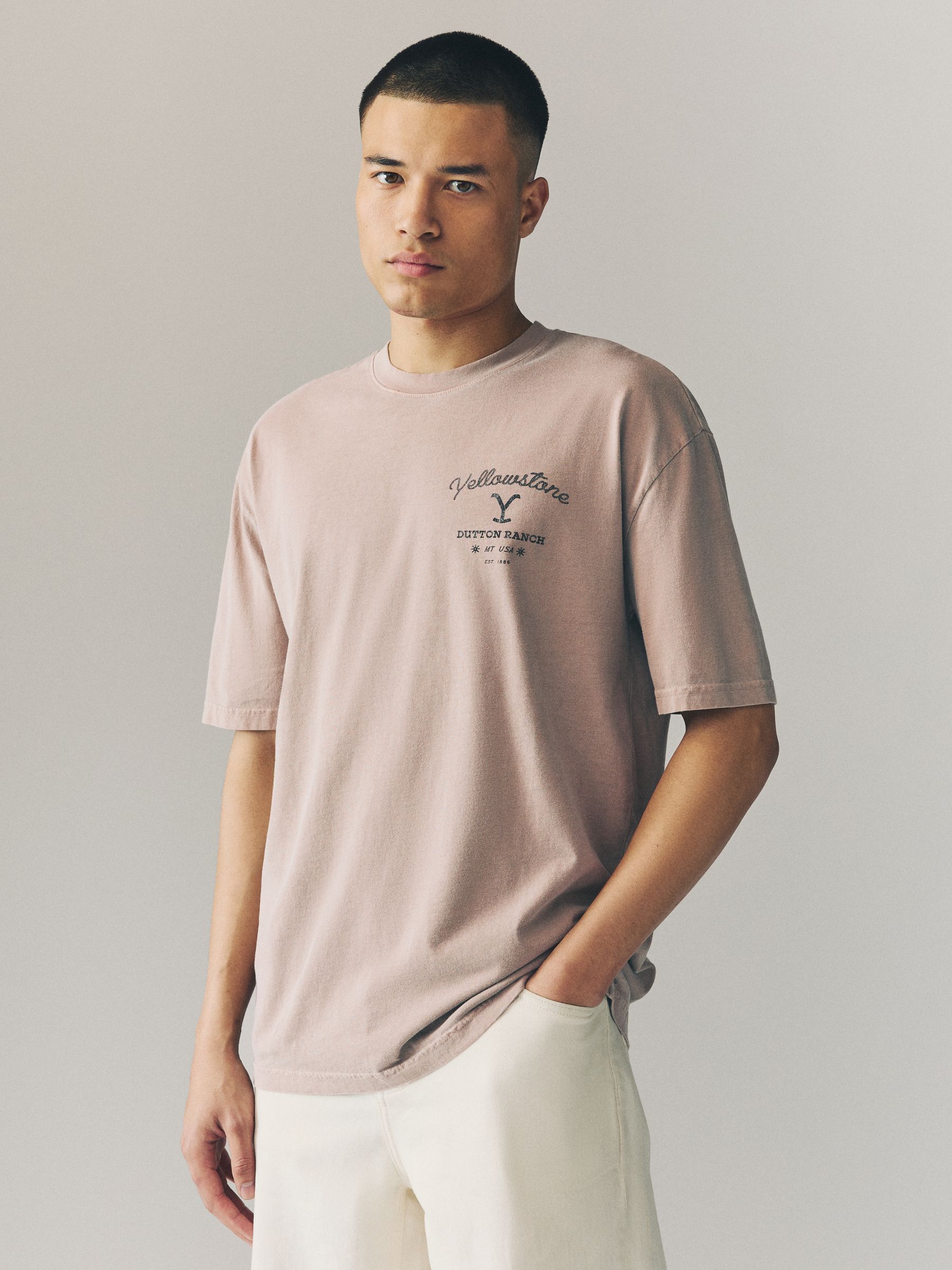 Buy Neutral Stone Yellowstone Graphic 100% Cotton T-Shirt from